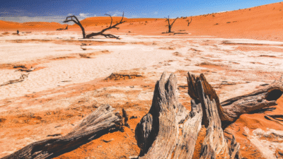 Rekor sıcaklık uyarısı: 5 yıla dikkat sicak